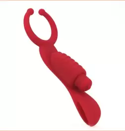 Multi-Use Erection Tool