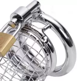 Caged Dragon Male Chastity Device Silver