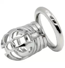 Captivated Stainless Steel Locking Chastity Cage