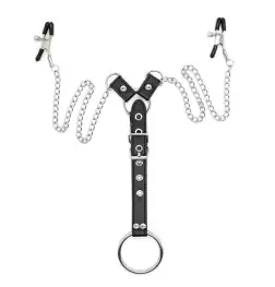 Penitentiary Nipple Clamps and Cock Ring Set