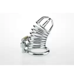 Ridem Tiger Silver Male Chastity Device