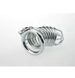 Ridem Tiger Silver Male Chastity Device