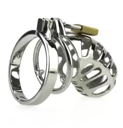 The Cartilage Chastity Device with Dual Ring