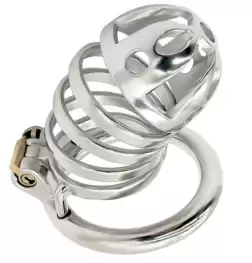 Captivated Stainless Steel Locking Chastity Cage
